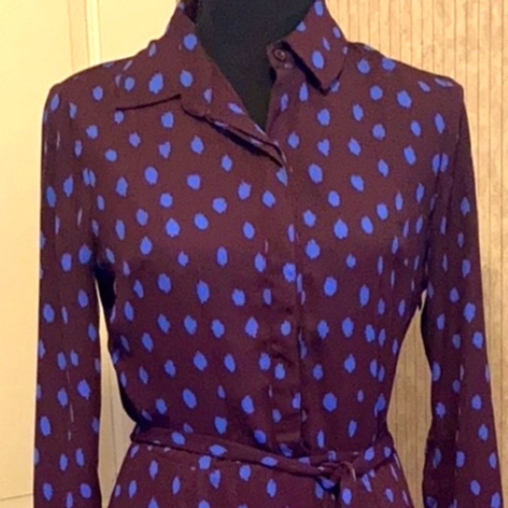 Banana Republic Blue Polka Dot Violet Long Sleeve Belted Dress Size 12